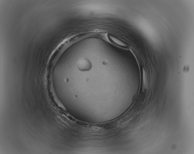 X0000097910387200803281407