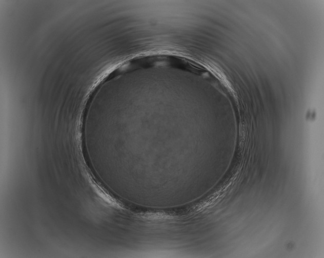 X0000097910389200803281407