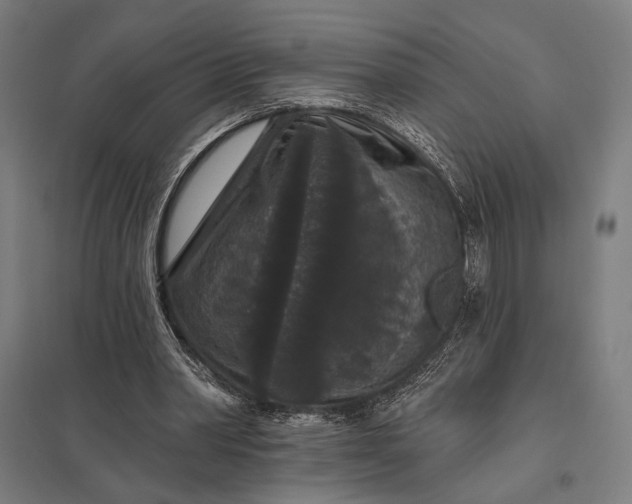 X0000097910390200803281407