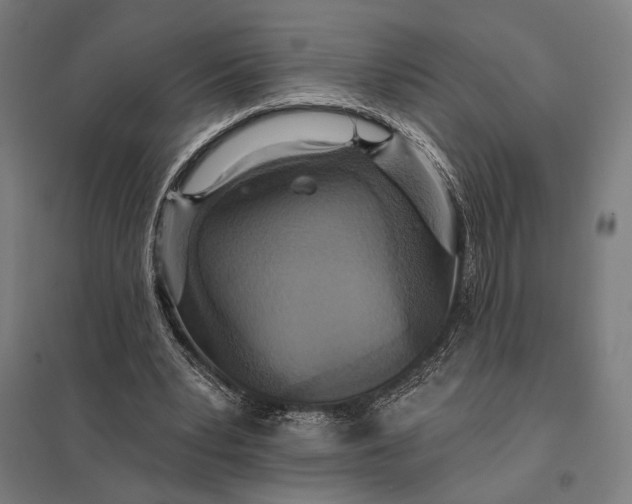 X0000097910391200803281407