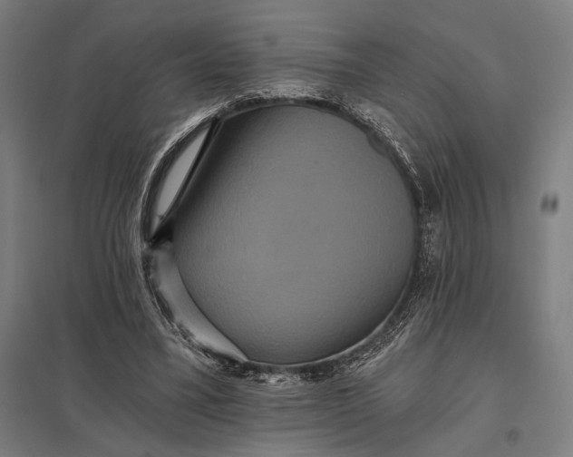 X0000097910395200803281407