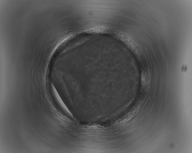 X0000097910396200803281407