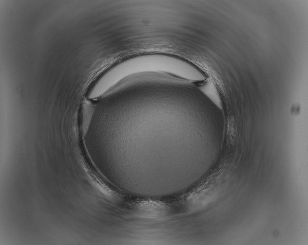 X0000097910397200803281407