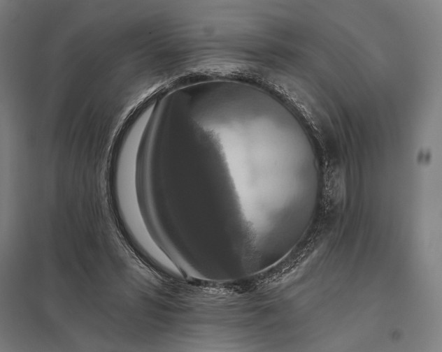 X0000097910399200803281407