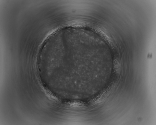 X0000097910400200803281407