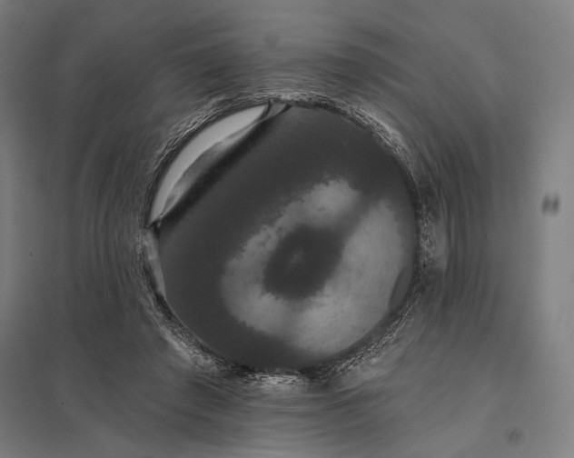 X0000097910401200803281407