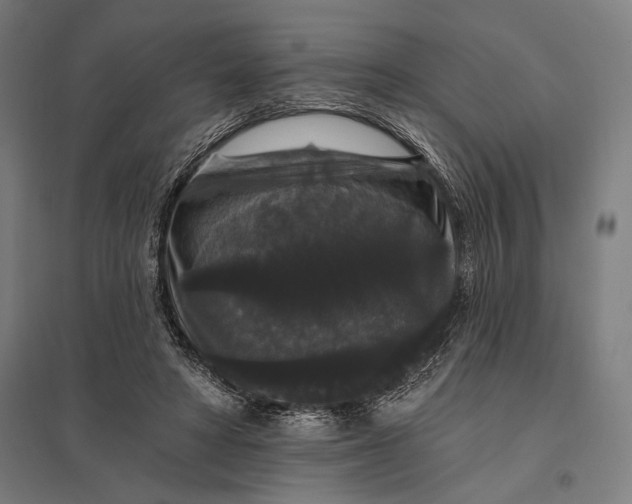 X0000097910402200803281407