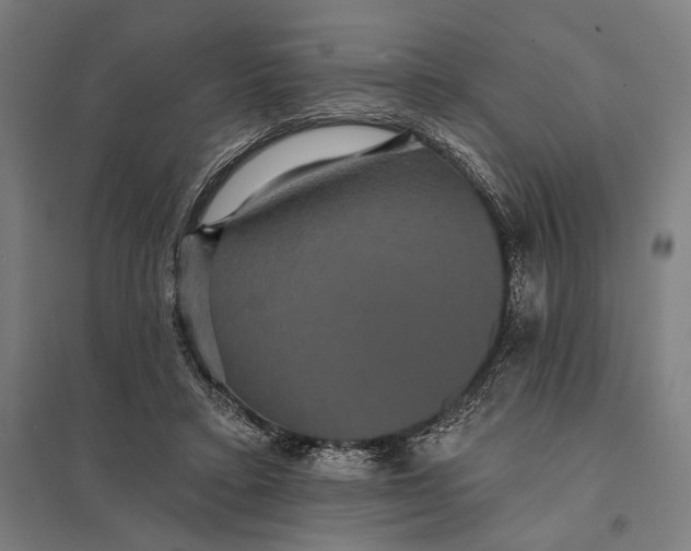 X0000097910403200803281407