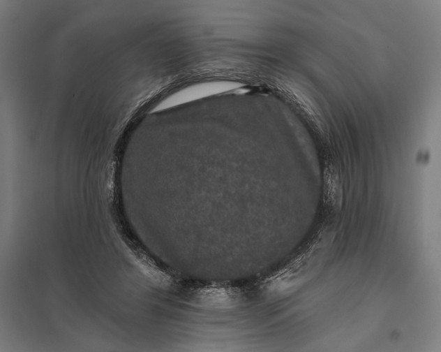 X0000097910404200803281407