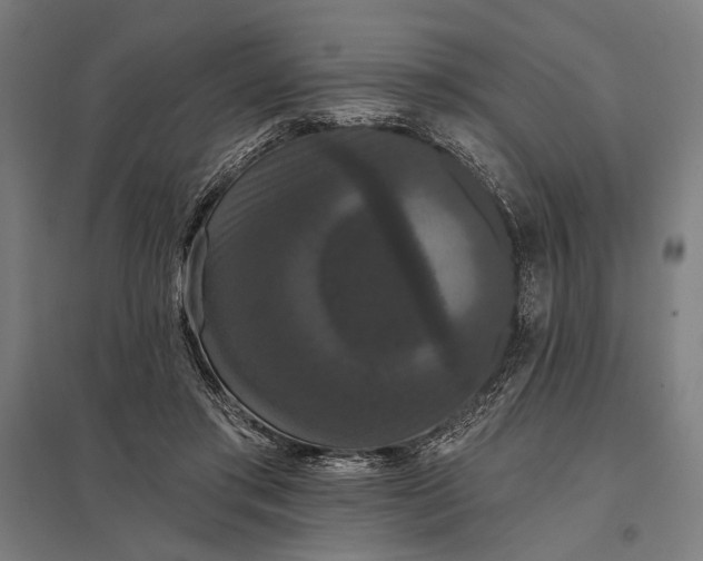 X0000097910405200803281407