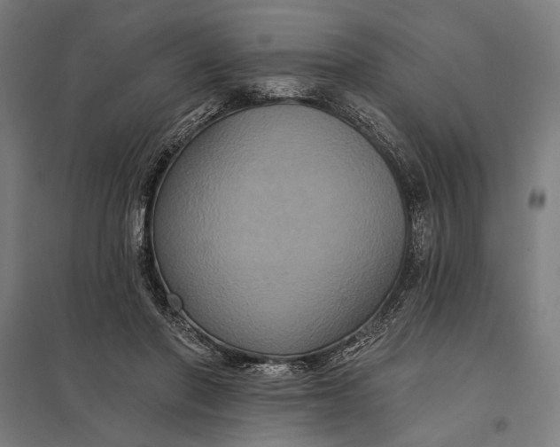 X0000097910406200803281407