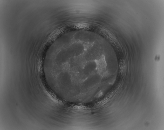 X0000097910408200803281407