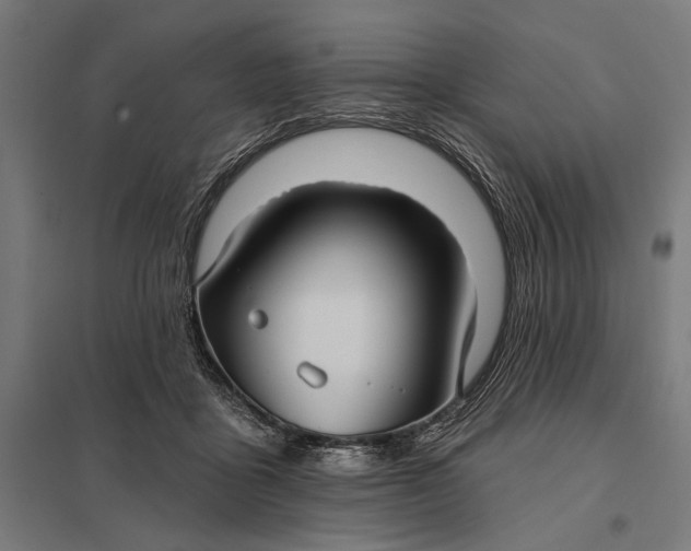 X0000097910411200803281407