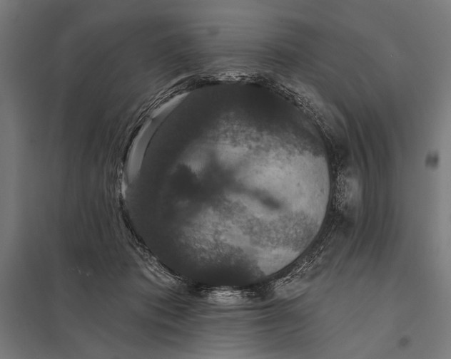 X0000097910413200803281407