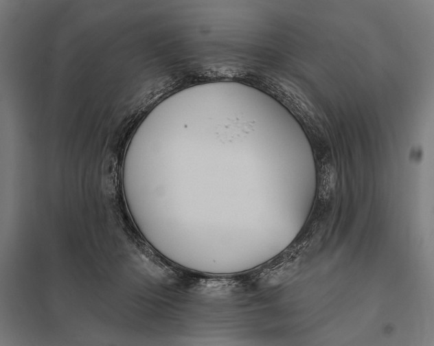 X0000097910414200803281407