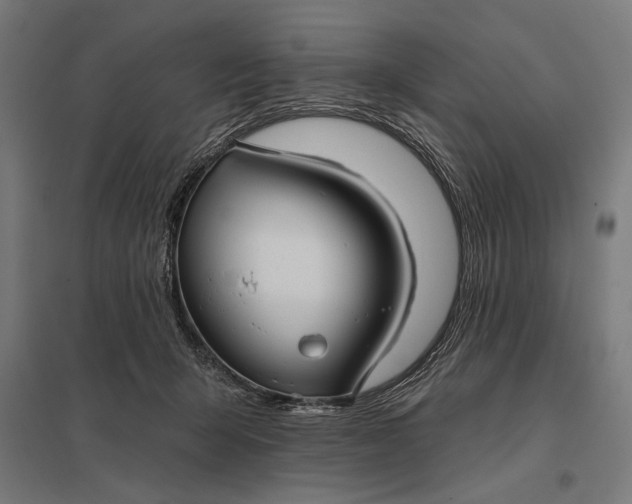 X0000097910415200803281407