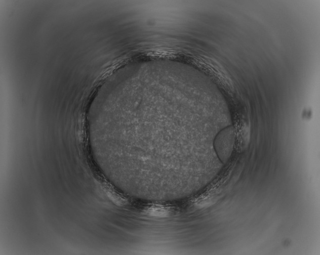 X0000097910416200803281407