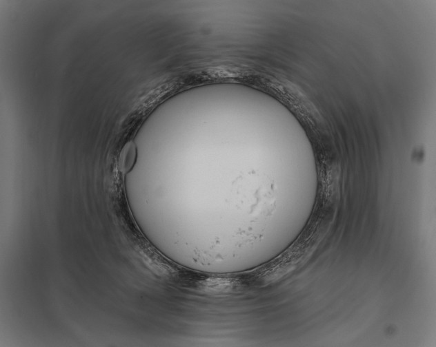 X0000097910418200803281407