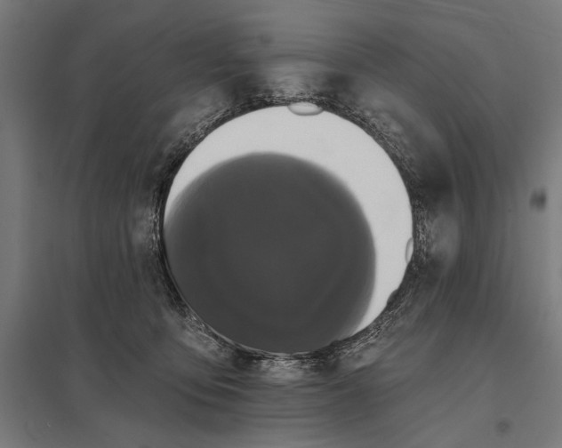 X0000097910419200803281407