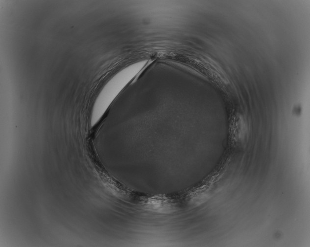 X0000097910420200803281407