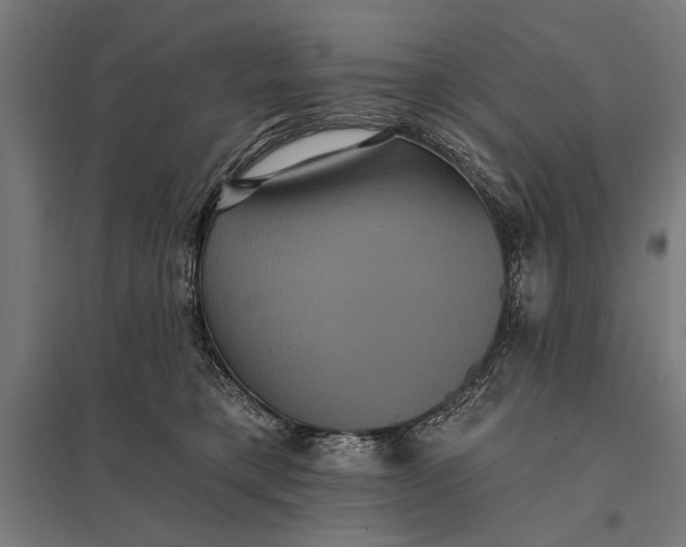 X0000097910421200803281407