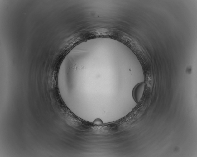 X0000097910422200803281407