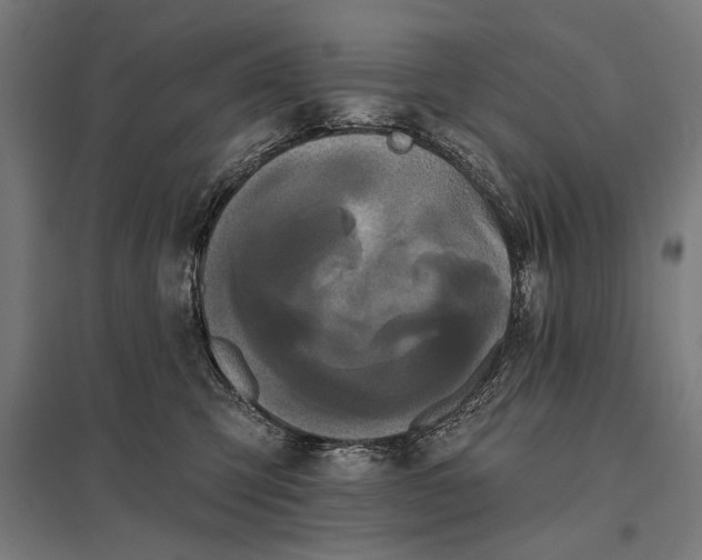 X0000097910423200803281407