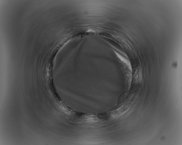 X0000097910424200803281407