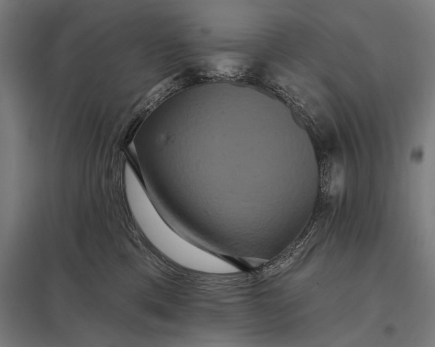 X0000097910425200803281407