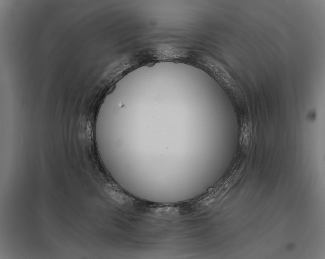 X0000097910426200803281407