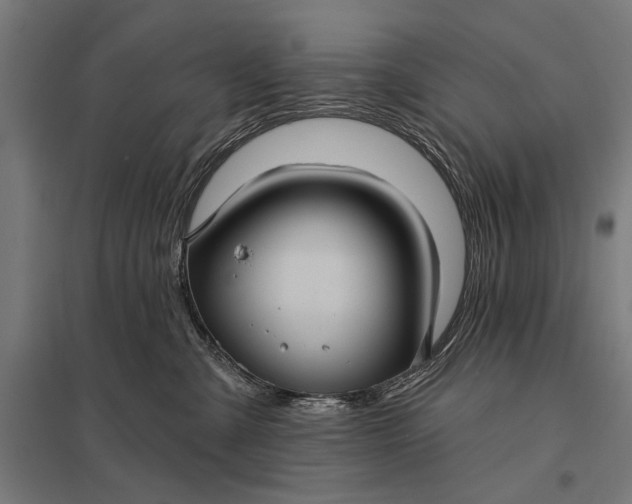 X0000097910427200803281407