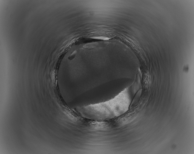 X0000097910428200803281407