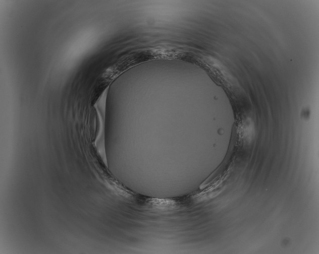 X0000097910429200803281407