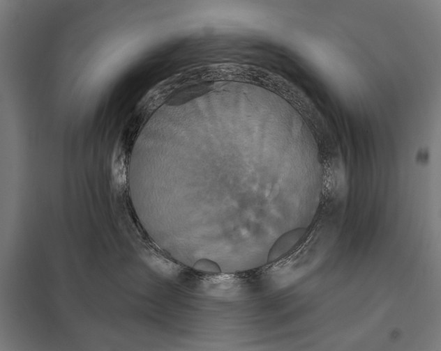 X0000097910431200803281407