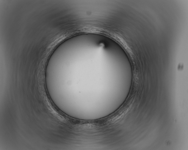 X0000097910433200803281406