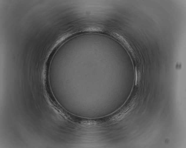 X0000097910435200803281406