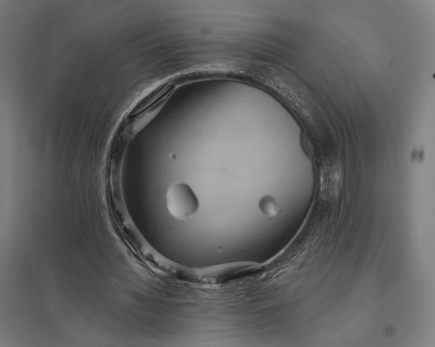 X0000097910436200803281406