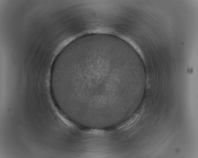 X0000097910437200803281406