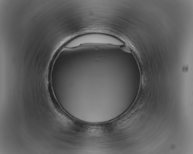 X0000097910438200803281406