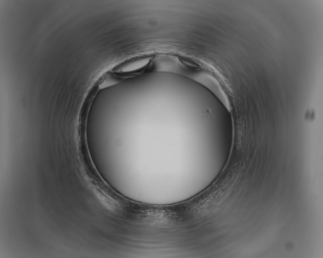 X0000097910439200803281406