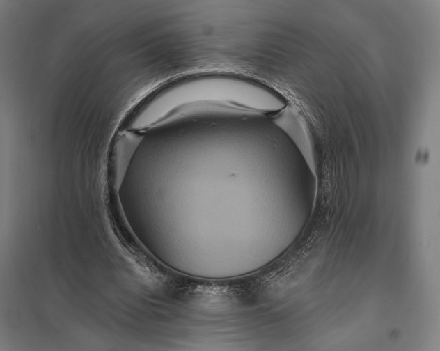 X0000097910440200803281406