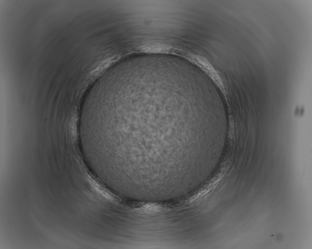 X0000097910441200803281406