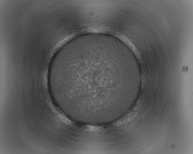 X0000097910442200803281406