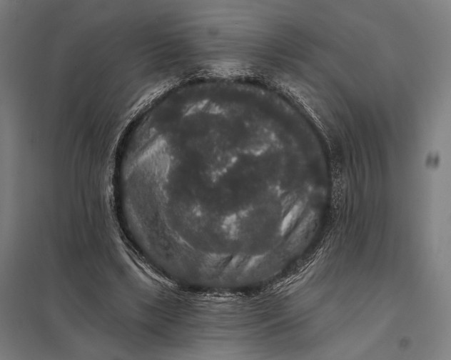 X0000097910443200803281406