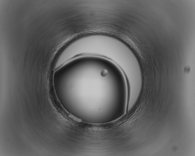 X0000097910444200803281406