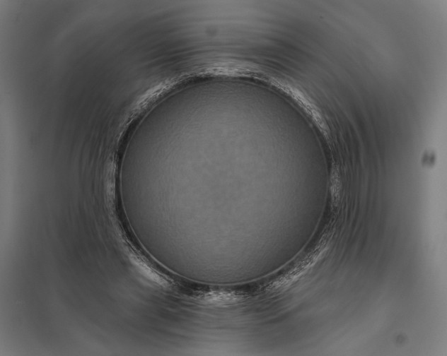 X0000097910445200803281406