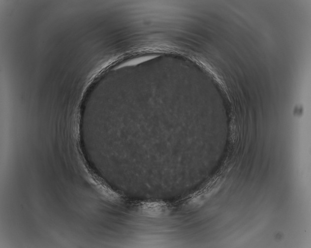 X0000097910446200803281406