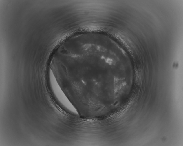 X0000097910447200803281406