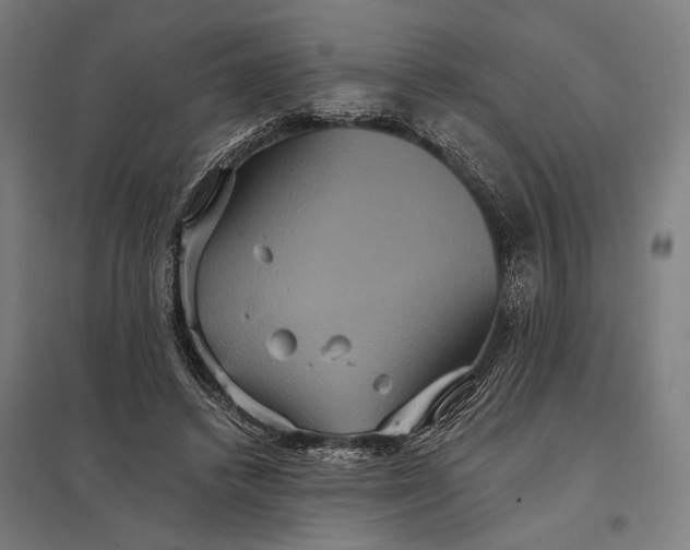 X0000097910448200803281406