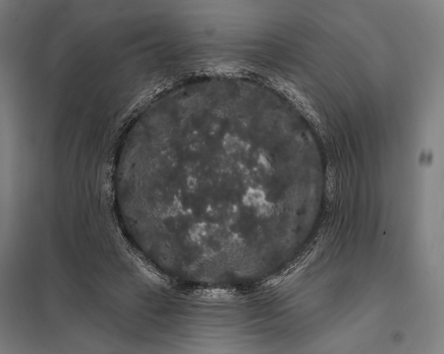 X0000097910449200803281406